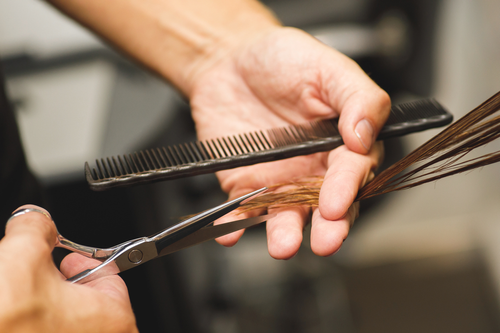 Hair Care Services: Employ The Best Professionals!